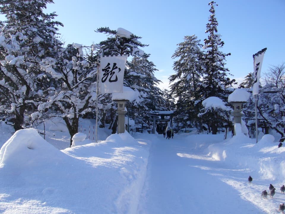 〔平成20年の情報〕待望の雪が積もりました!